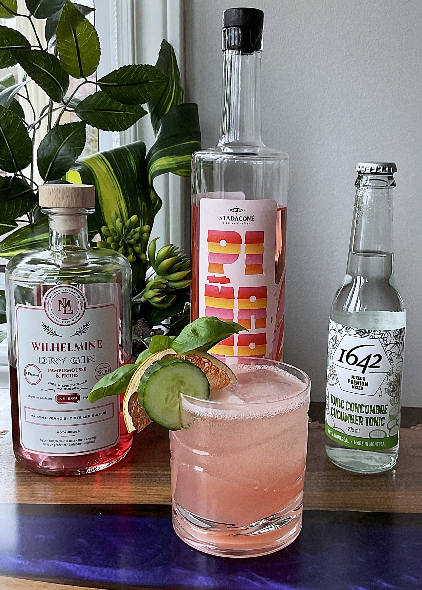 Énigme Tropicale