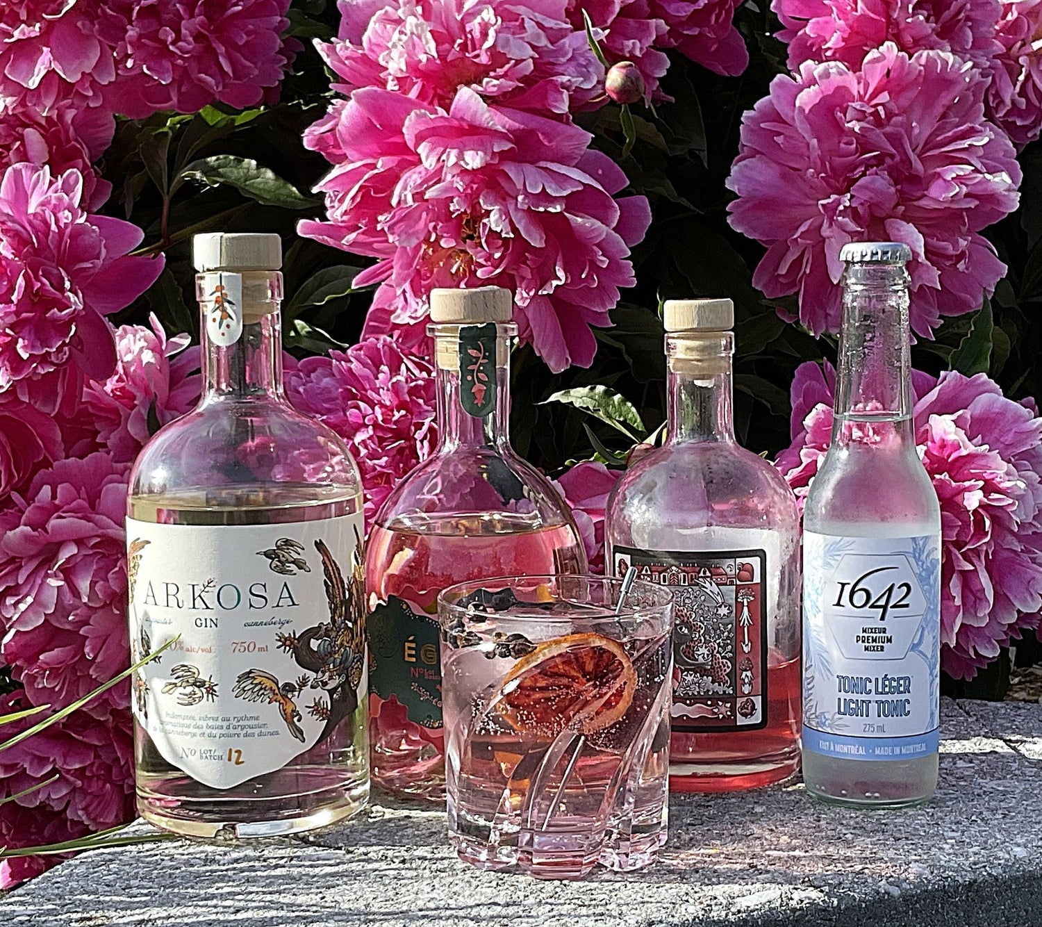 Rose Des Vents