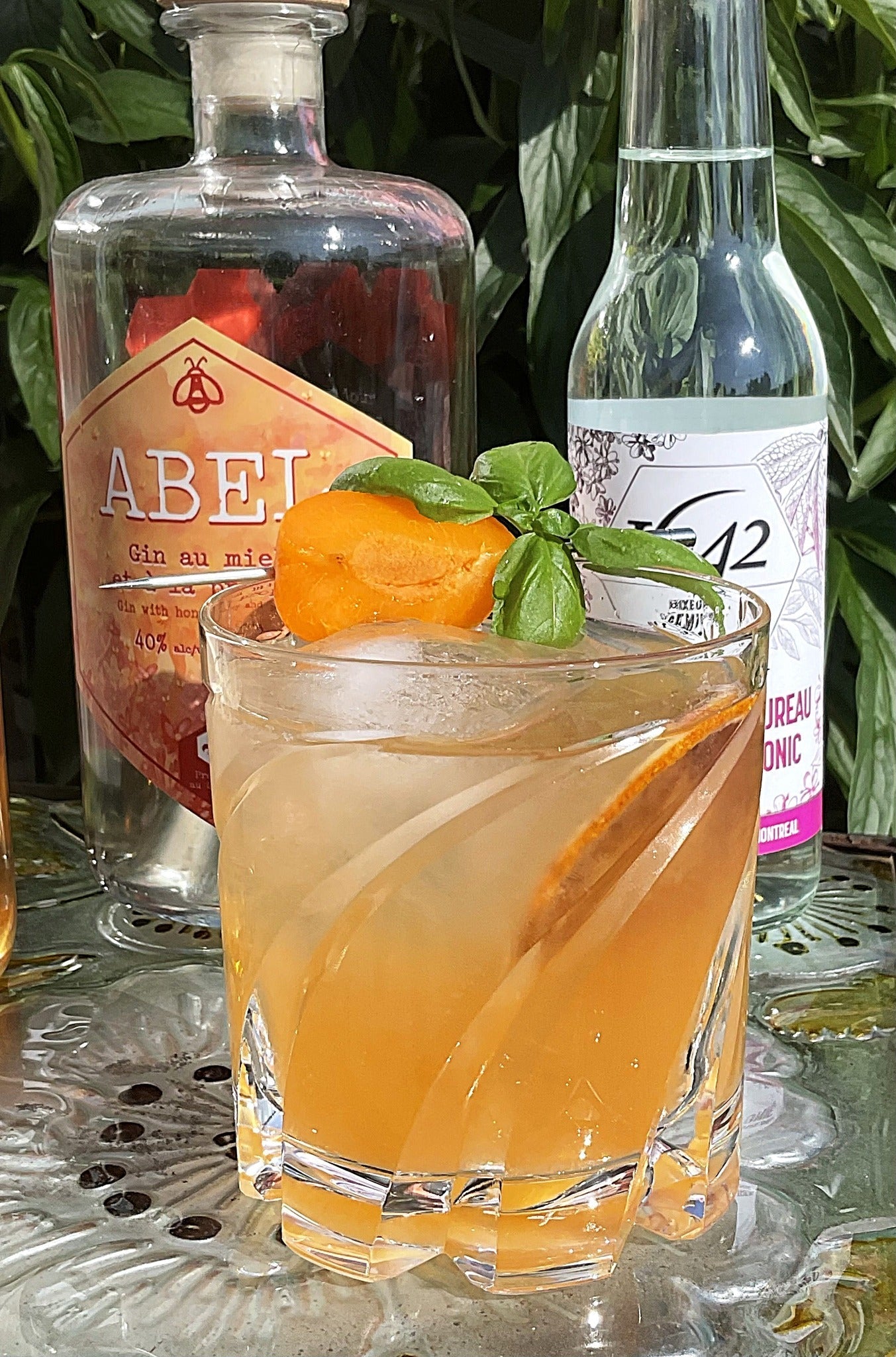 Miel D’Abricot