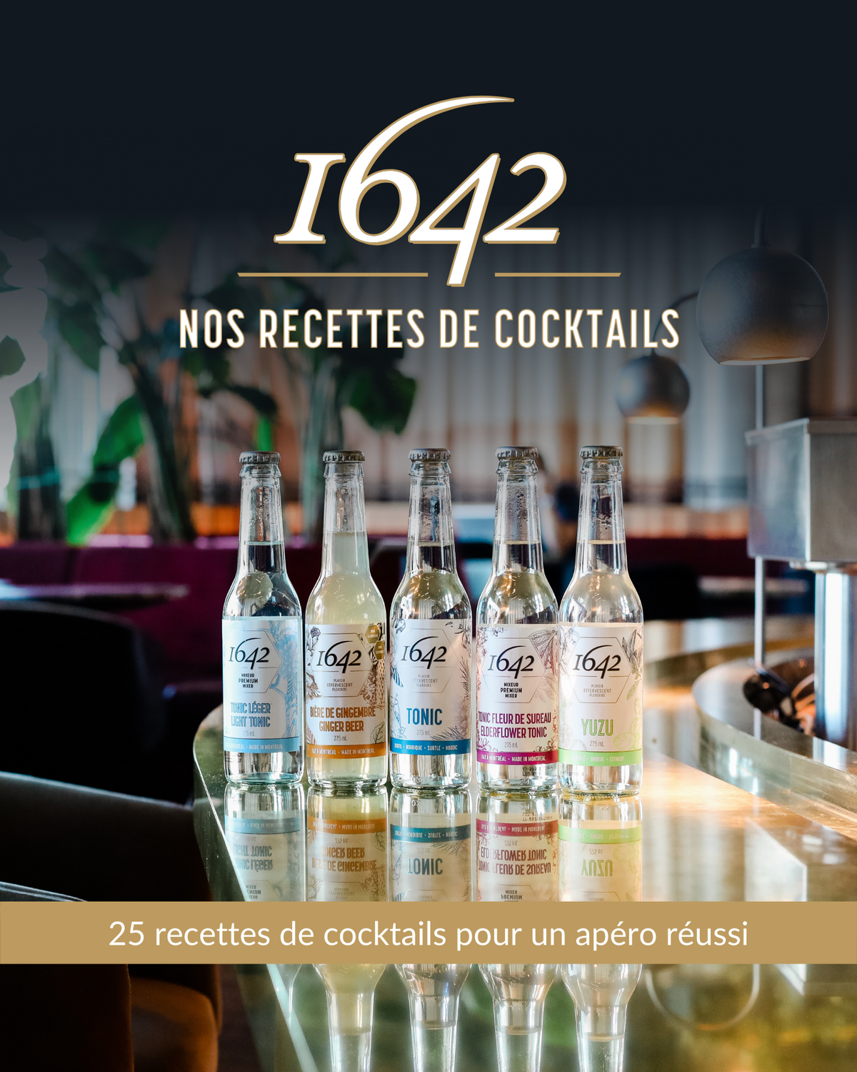 Livre de Recettes 1642